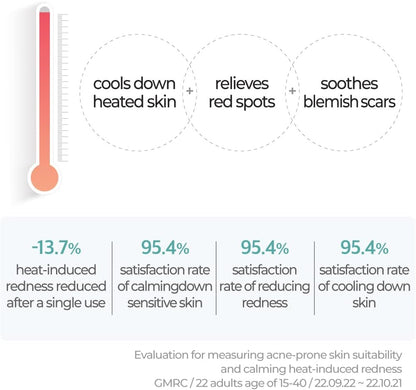 AuroraSty#1 Toner Pads | Toner Pads Centella Re-Leaf Green | Soothing Plants, Centella Asiatica | Double Sided Pads | 70 Count, 190 ml